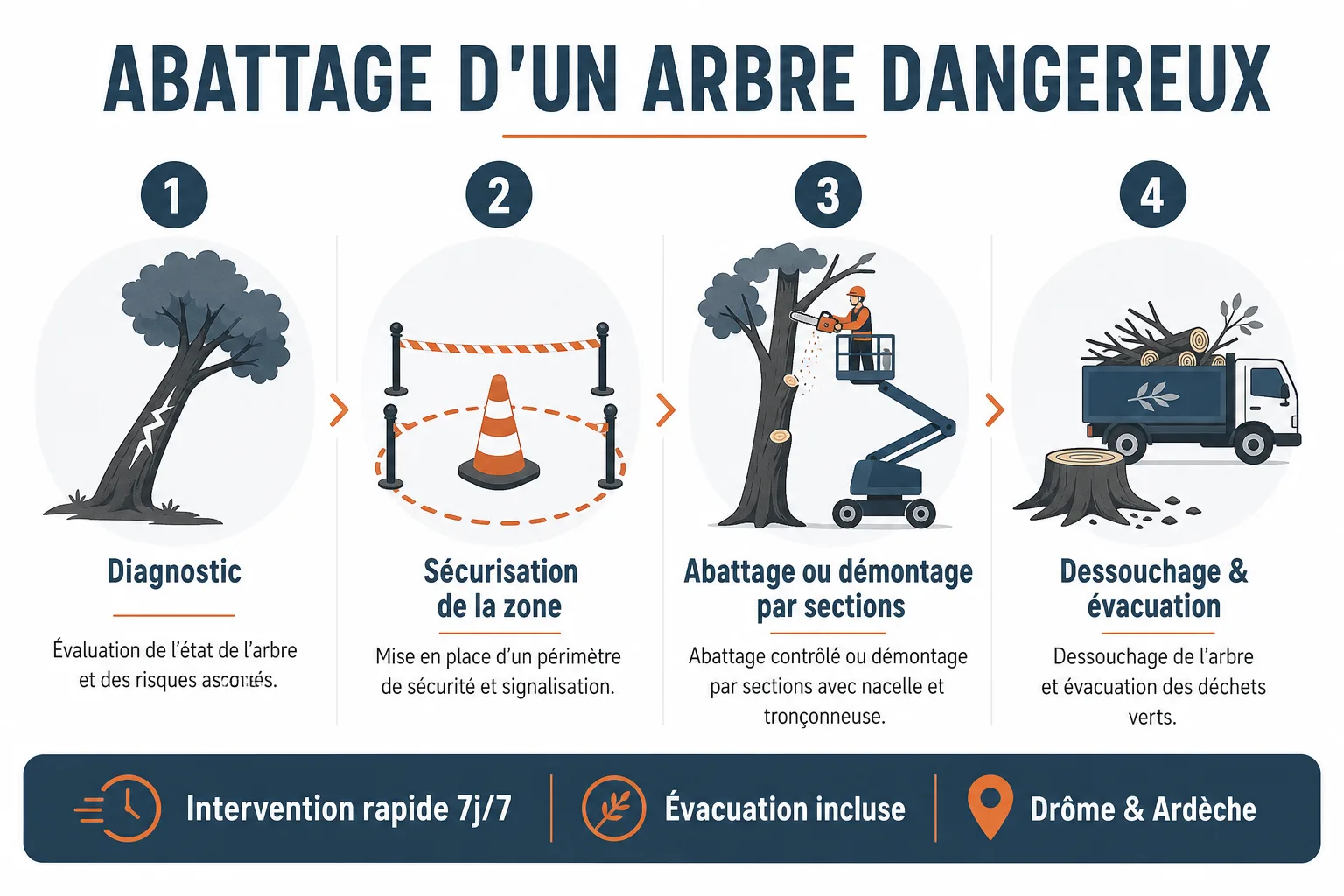 Infographie : Abattage d'un arbre dangereux : quand et comment, en Drôme-Ardèche