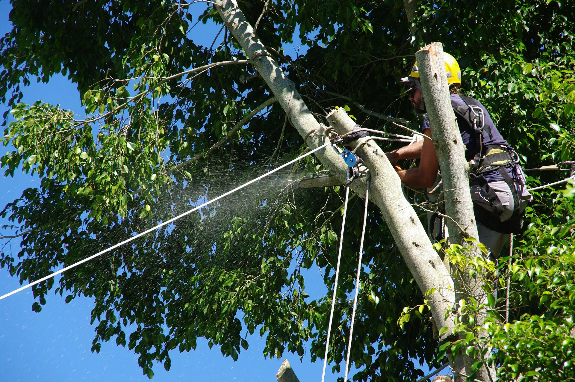 Chantier METIFIOT TP à Livron-sur-Drôme