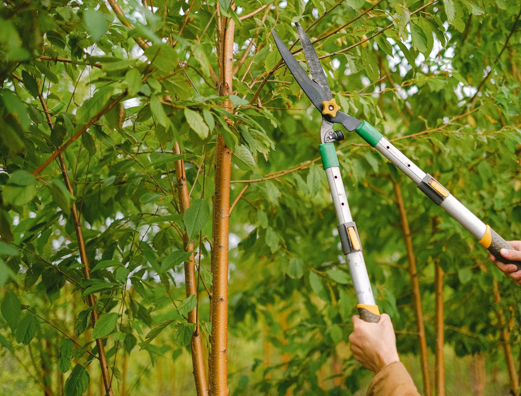 Chantier METIFIOT TP GOUDRONNAGE à Livron-sur-Drôme — terrassement & élagage (photo 5)