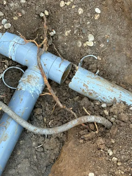 Chantier METIFIOT TP GOUDRONNAGE à Livron-sur-Drôme — terrassement & élagage (photo 11)