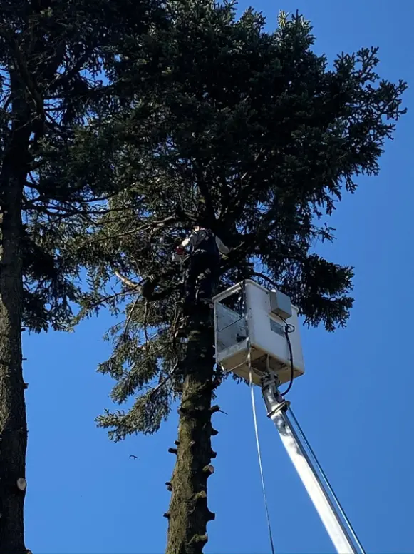 Chantier METIFIOT TP GOUDRONNAGE à Livron-sur-Drôme — terrassement & élagage (photo 20)