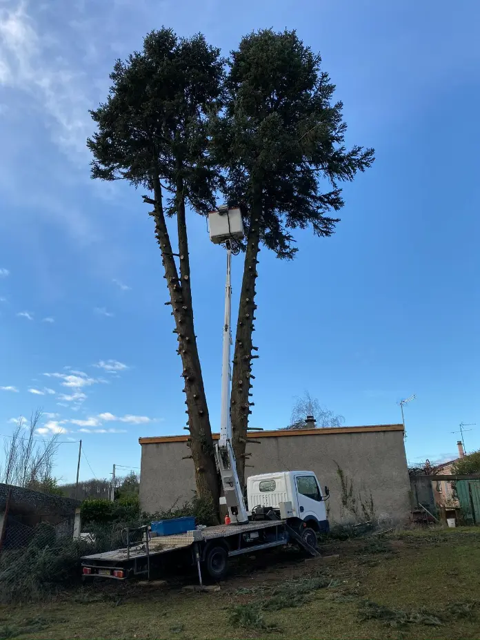Chantier METIFIOT TP GOUDRONNAGE à Livron-sur-Drôme — terrassement & élagage (photo 26)